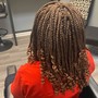 Root Touch Up