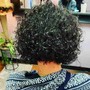 Natural Coils Shampoo and Style