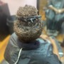 Root Touch Up