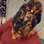 Crochet Braids