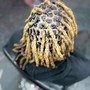 Starter Locs