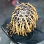 Starter Locs