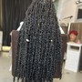 Nubian Twists/Short butterfly locs / Hair Extensions