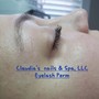 Individual Lashes/Cluster lashes