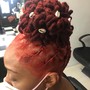 Root Touch Up