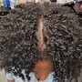 Natural Hair Comb Twist