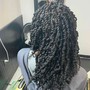 Root Touch Up