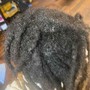 Retwist Only (wash included)