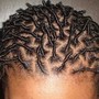 Loc Coils