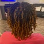 Starter locs (Two Strand Twist)