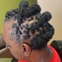 Starter locs