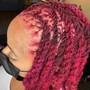 Single Process Color Full Head (Loose hair and locs)