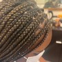 Small Box Braids