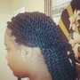 Flat Twists w/ 2 strand twist