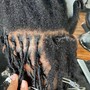 Root Touch Up