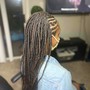 Medium Traditional Box Braids