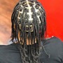 Starter Dreadlocks