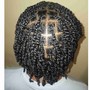 Braids/Twists (no extensions)