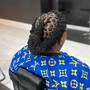 Starter Locs/Ear length