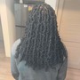 Senegalese Twist(Medium) Mid back