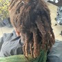 Root Touch Up