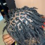 Comb Coil Starter Locs (Med/Lar)