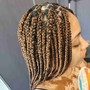 2-4 Feed-In Braids