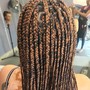 Med Braids Touch-up or Takedown