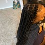 Small/ medium Box Braids