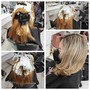 Partial Balayage