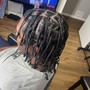 Starter Dreadlocks