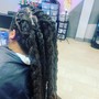 Starter Sister locs