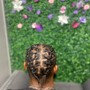 Tree Braids