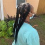 Braids natrual hair braided