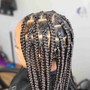 Kid's  Braids w/Extensions