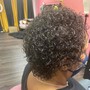 Hydrotherapy Treatment only/ wash n go