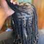 Starter locs LARGE