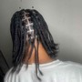 2 Feed Ins Braids