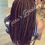 Small Senegalese Twist Waist Length