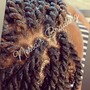 Small Senegalese Twist Waist Length