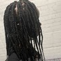 Takedown - Rope/Senegalese Twists