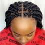 Lilian Braids Styles