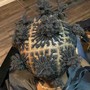 Loc retwist(on head with shaved sides)