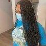 Senegalese Twist(Medium) Mid back