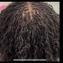 Micro Two Strand Twist on Natural Hair