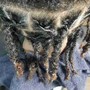 Starter Top Locs (no side hair or back) LocSmith Technique