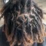 Starter Locs