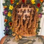 Sphinx Color Package (NATURAL HAIR)