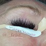 Two Week Lash Fill