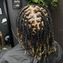 Loc Retwist